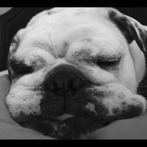 Meet your Posher, Tina